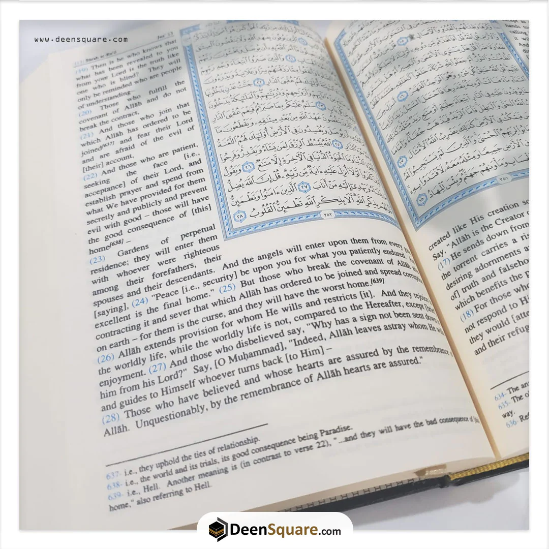 3_57936504-8426-4323-a17d-c0f4e16643ad_1800x1800